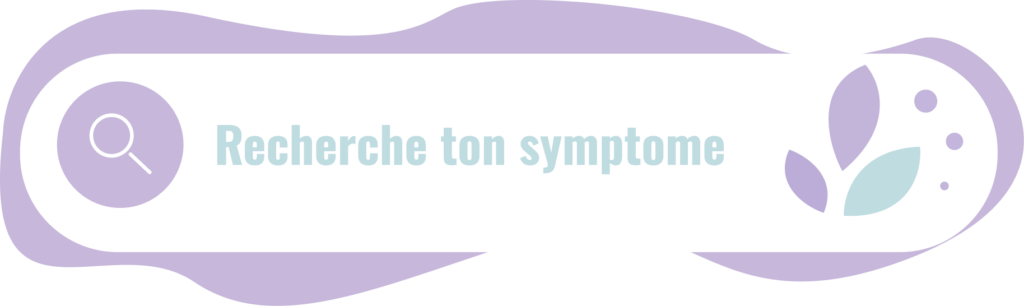 barre de recherche 2